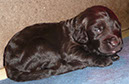 2012-04-30 001 002a