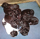 2012-04-15 001 2012-04-15 003